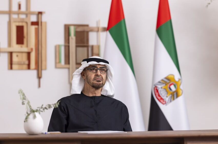  UAE President Participates in Virtual G20 Leaders’ Summit