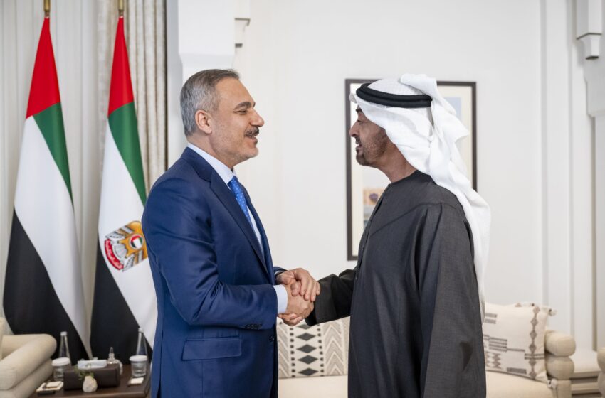  UAE President receives Turkish Foreign Minister